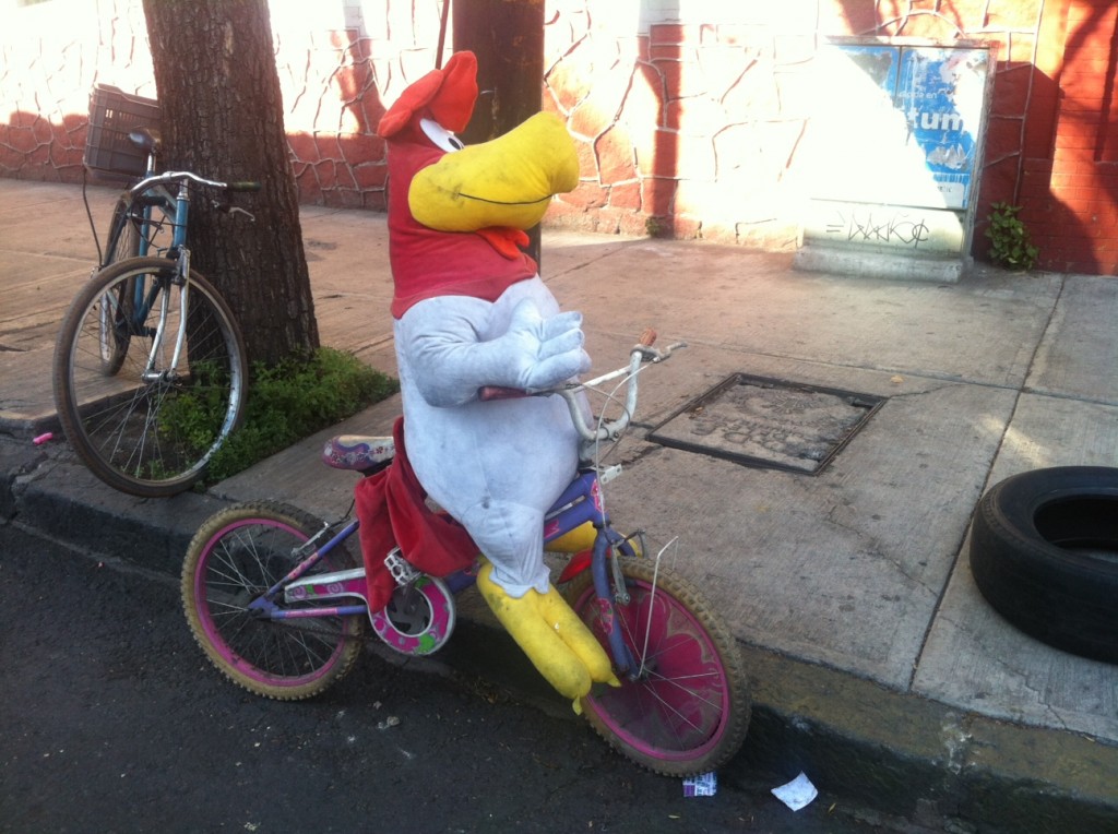 pollo biciclado